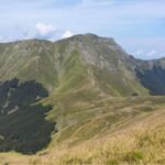 CORSO POP: DARE UN FUTURO ALLA VITA E UN VALORE AL FUTURO