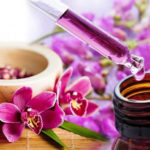 Corso Pop: Risbocciare con i fiori